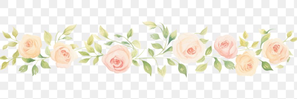 PNG Roses as divider line watercolour illustration graphics pattern blossom.