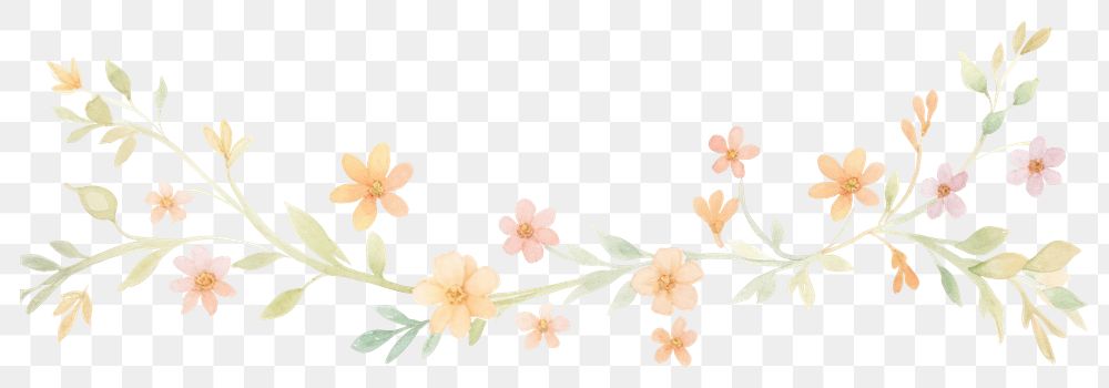 PNG Flowers as divider watercolor graphics pattern blossom.