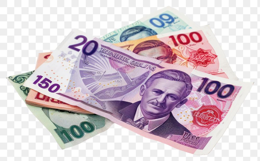 PNG Turkish Lira person dollar money.