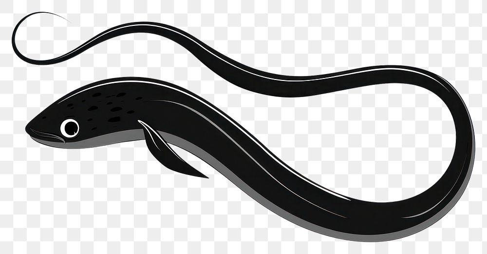 PNG Morau eel animal fish smoke pipe.