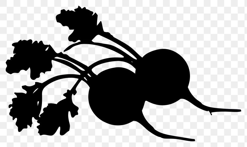 PNG Beetroot Vegetable silhouette stencil produce.
