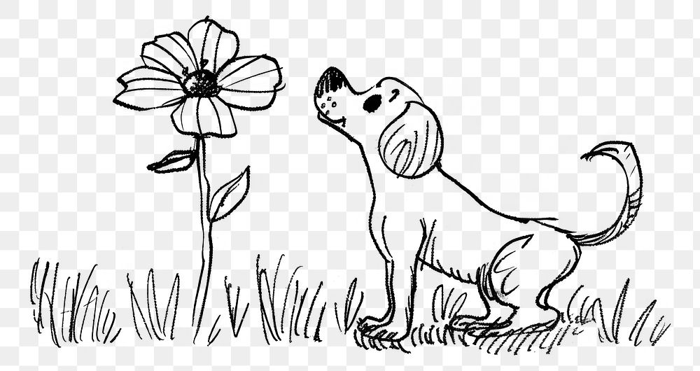 PNG Continuous line drawing flower and dog art illustrated asteraceae.