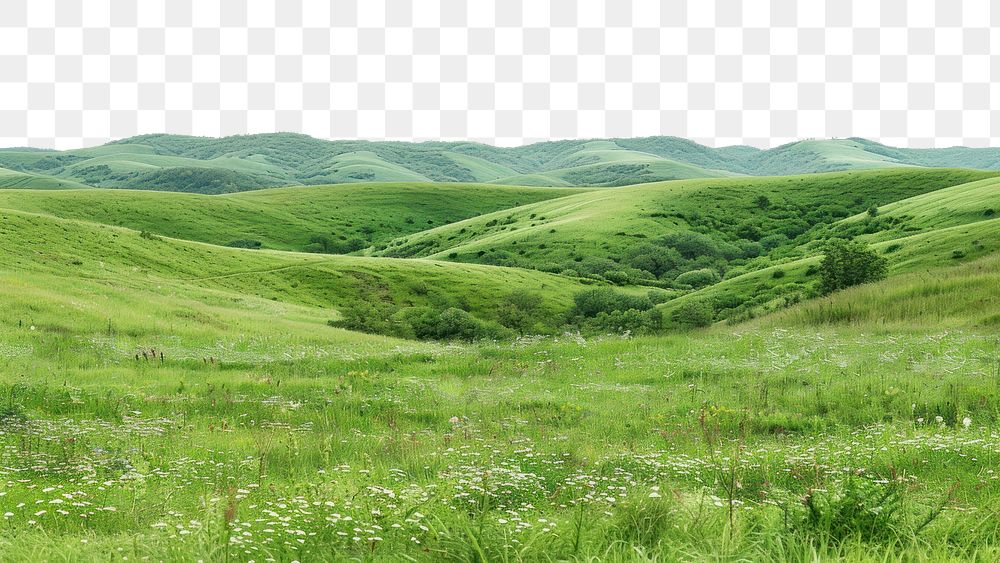 PNG Moldova countryside grassland landscape.