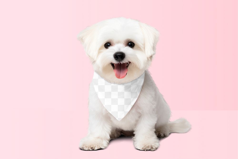 Dog's bandana, png transparent mockup