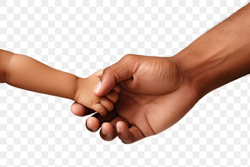 PNG Hand of an adult man and child holding each other hand person human 