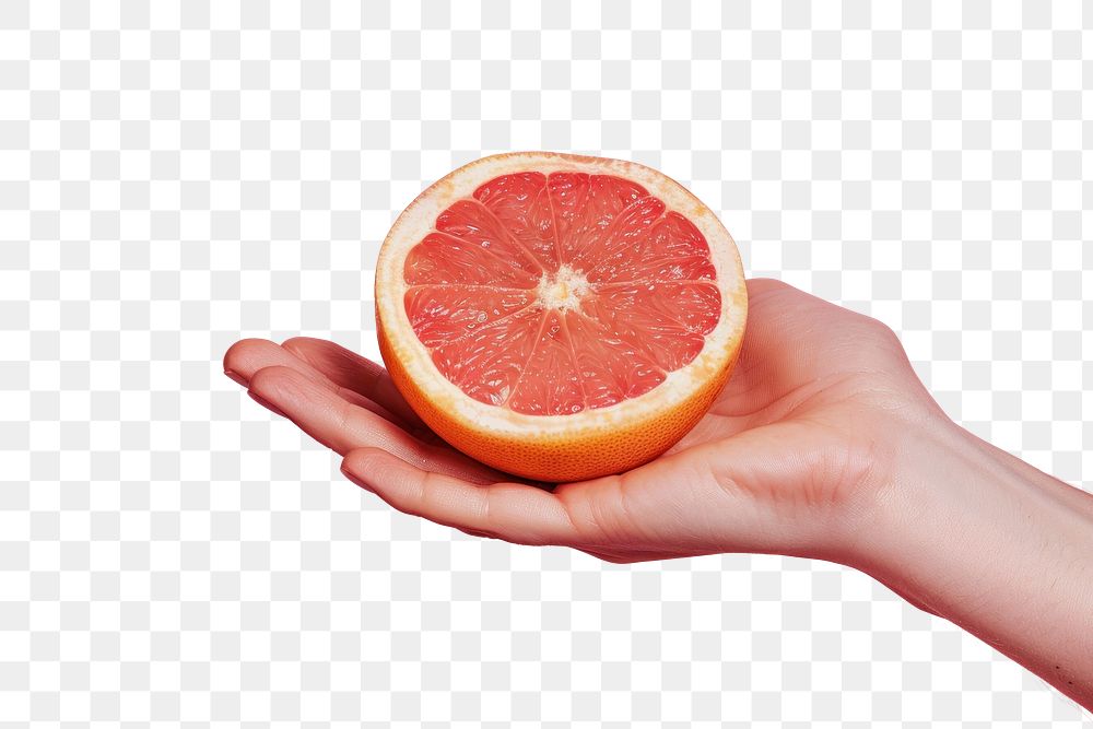 PNG Half of a grapefruit produce orange pomelo 