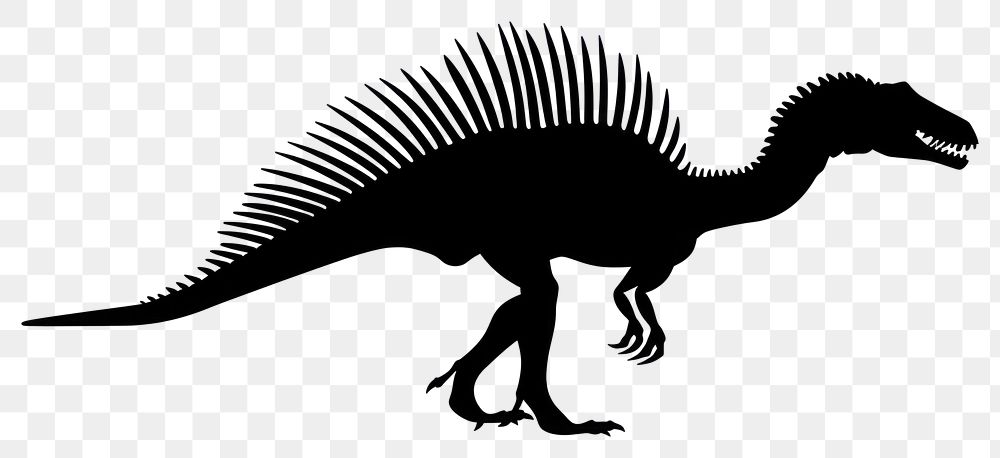 PNG Spinosaurus dinosaur reptile animal.