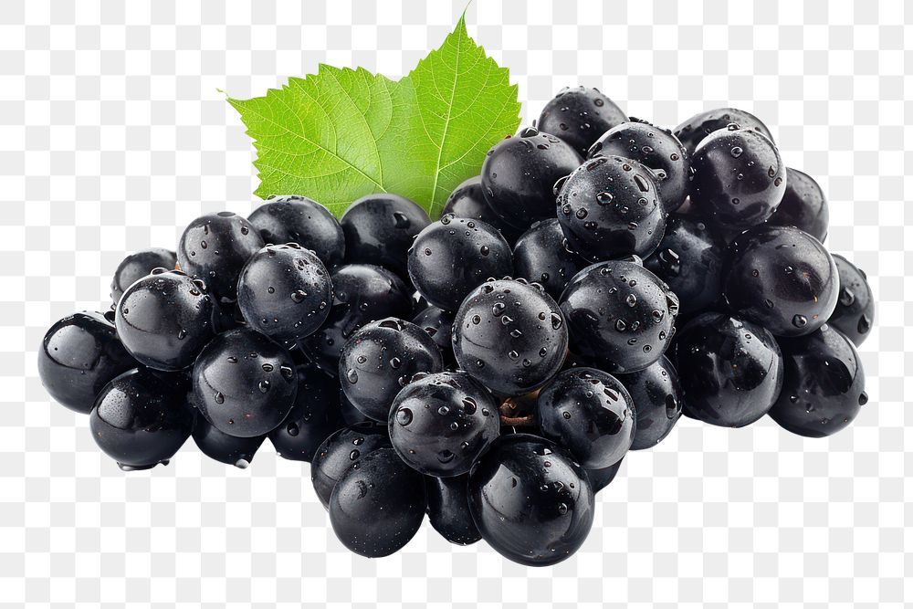 PNG Black grapes ammunition blueberry weaponry.