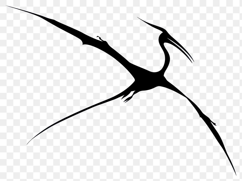 PNG Pterosaurs silhouette waterfowl weaponry.
