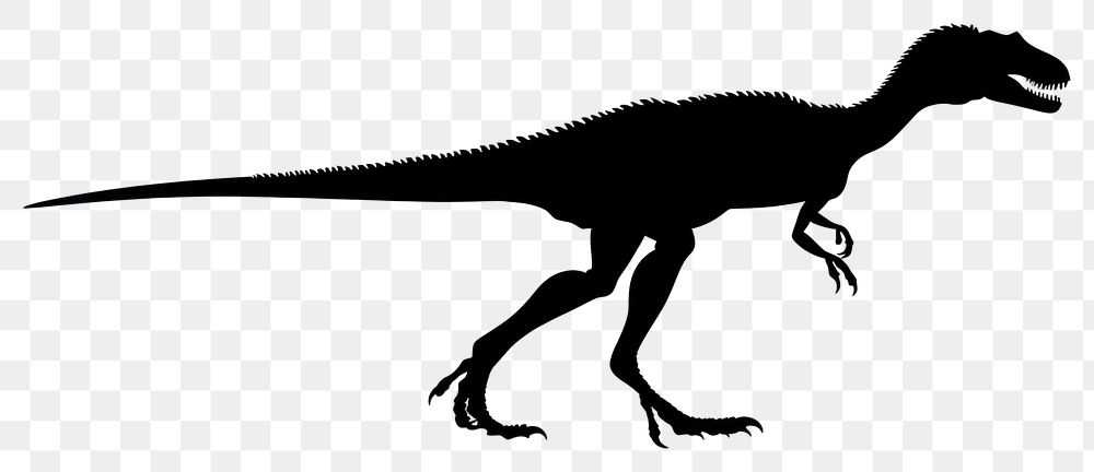 PNG Velociraptor dinosaur reptile animal.