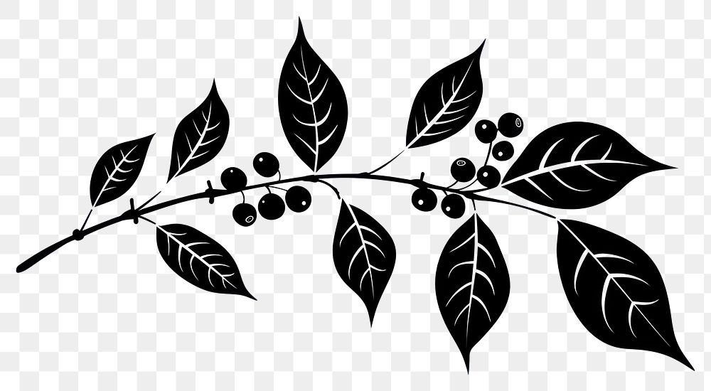 PNG Coffee branch icon plant silhouette graphics.