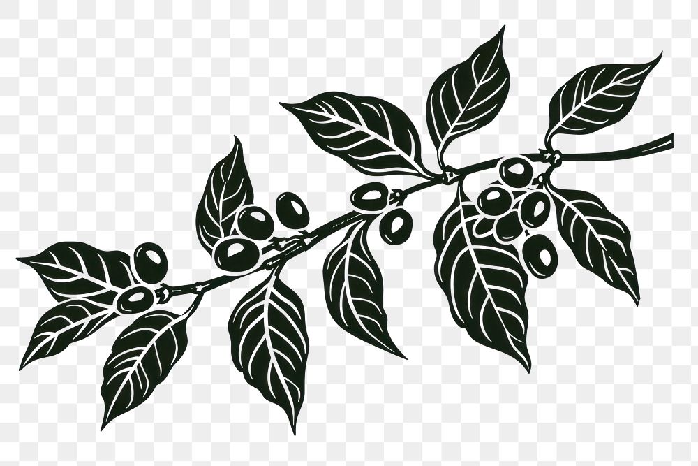 PNG Coffee branch icon plant illustrated stencil.