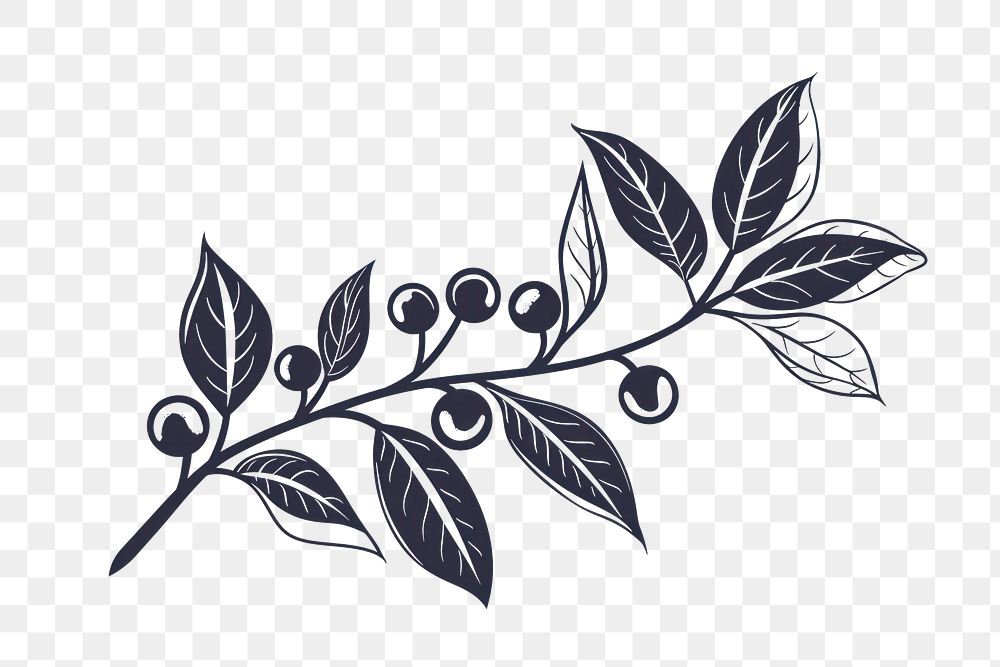 PNG Coffee branch icon plant illustrated blueberry.