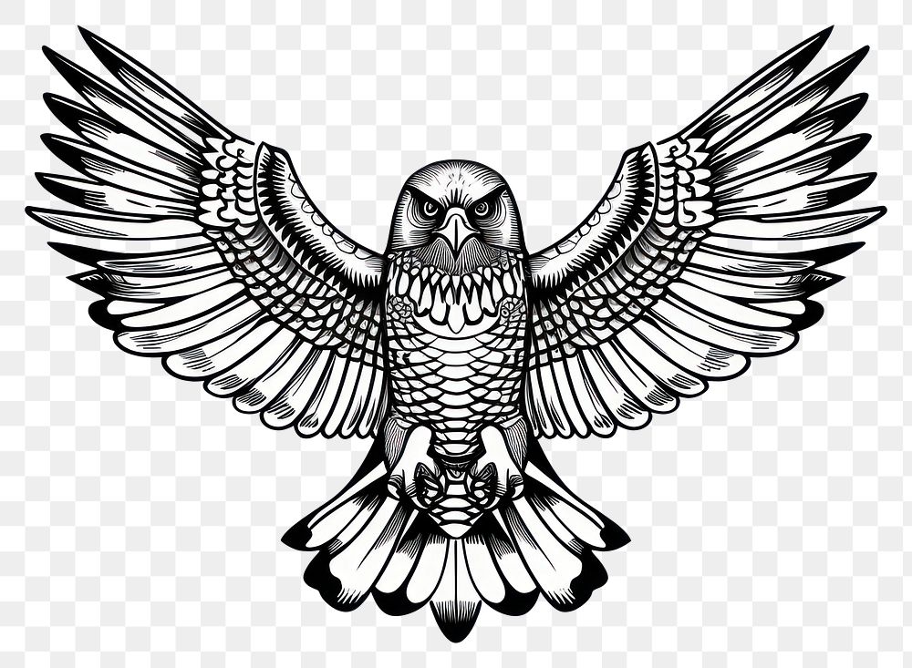 PNG Hawk tattoo flat illustration illustrated drawing animal.