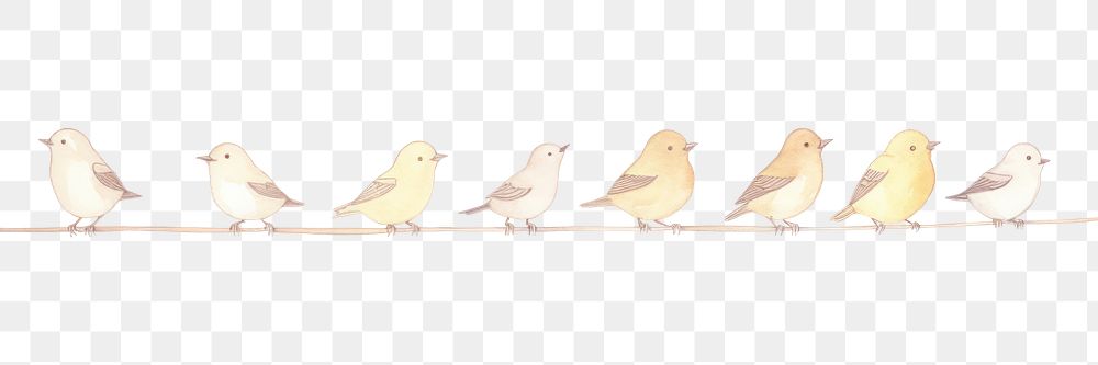 PNG Birds as divider watercolor animal canary finch.