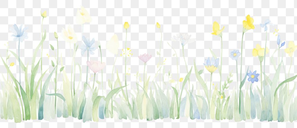 PNG Spring as divider watercolor asteraceae graphics painting.