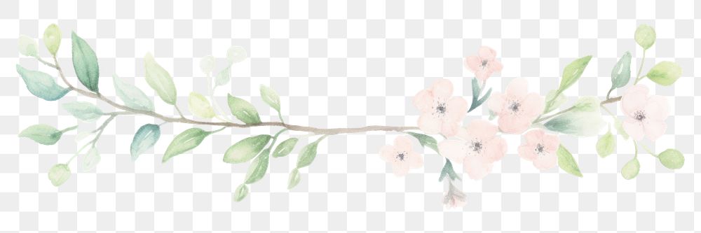 PNG Spring as divider watercolor graphics painting pattern.