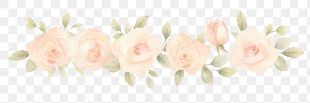 PNG Roses as divider watercolor graphics blossom pattern.