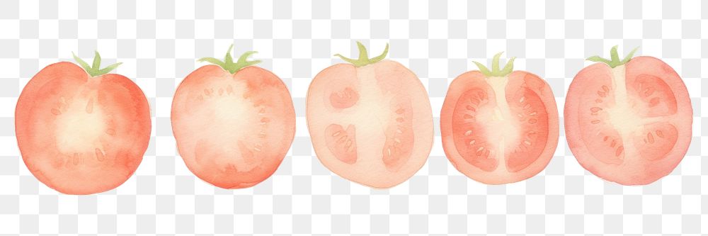 PNG Tomatoes as divider watercolor vegetable produce ketchup.