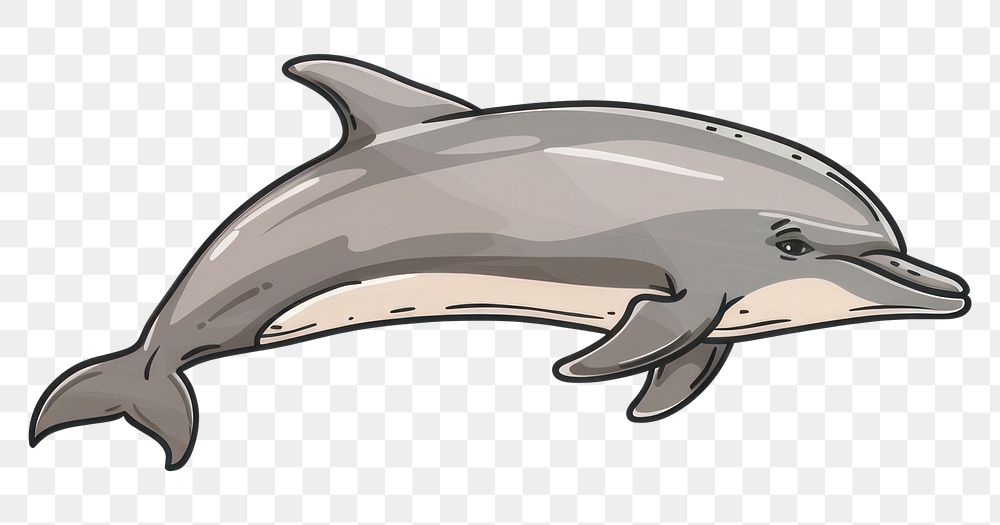 PNG Bottlenose dolphin animal mammal shark.