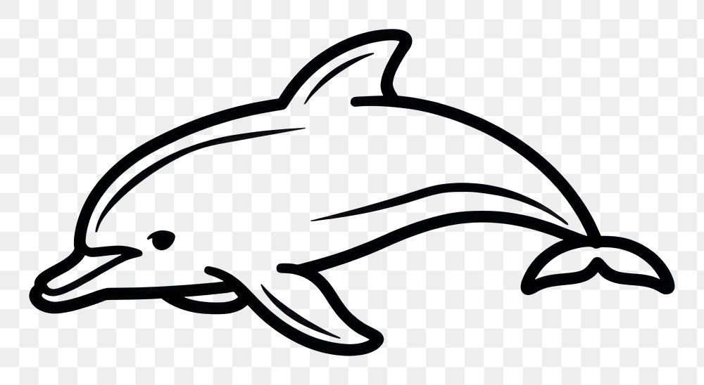 PNG Dolphin animal mammal shark.