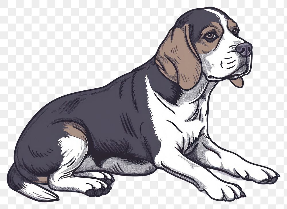 PNG Beagle dog animal canine mammal.