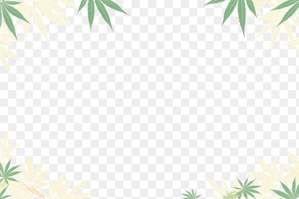 PNG Illustration of cannabis border vegetation plant green.