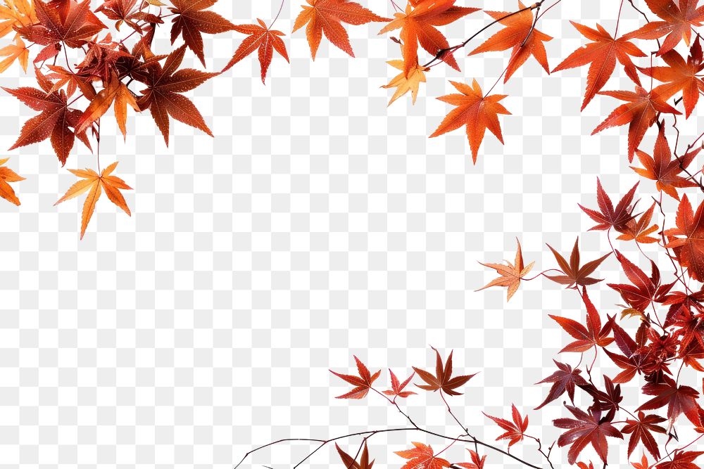 PNG Autumn leaves border frame