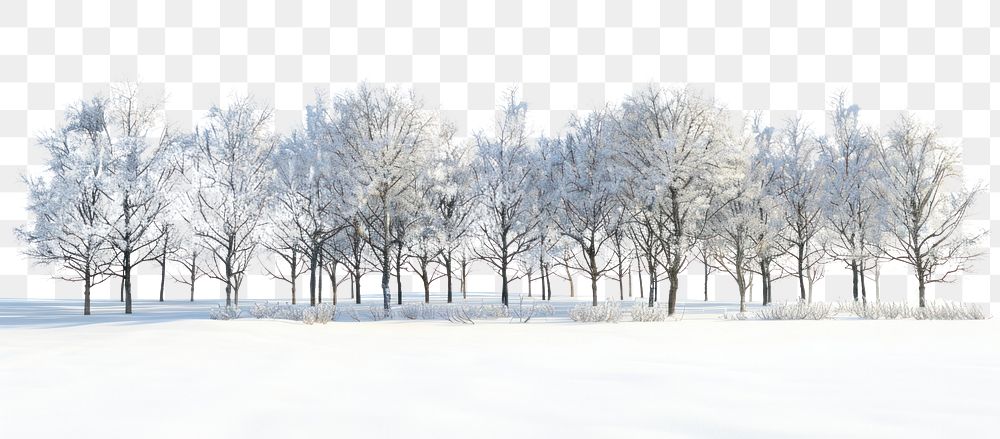 PNG Snow-covered trees in winter