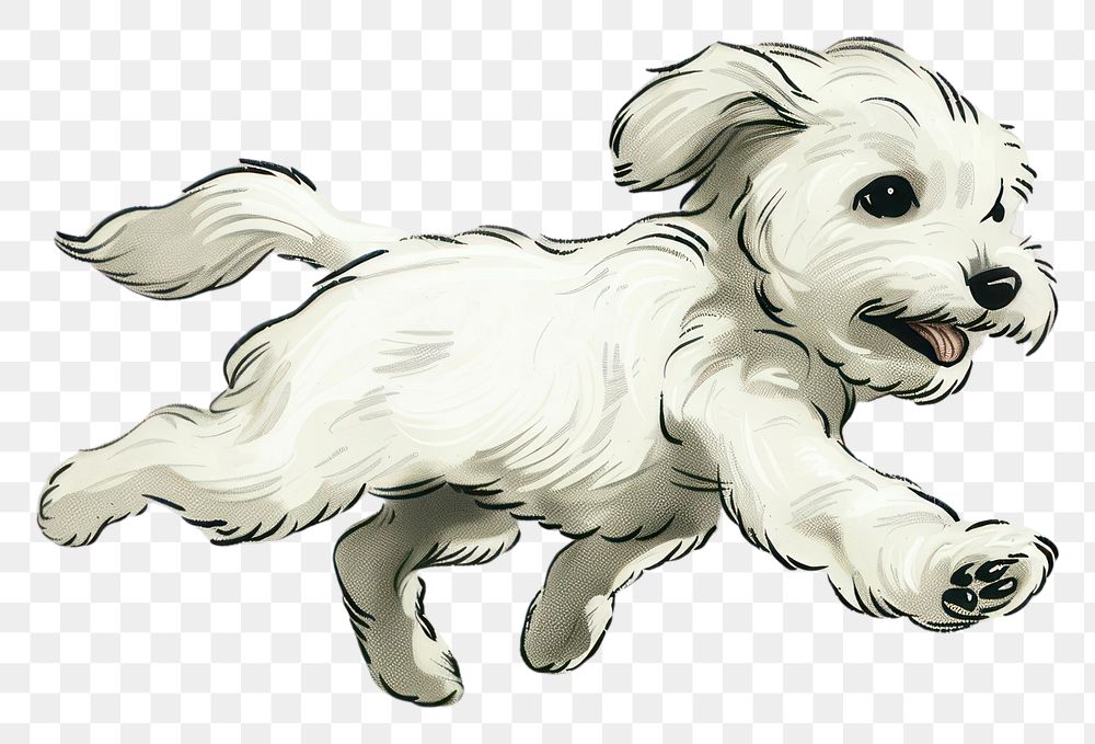 PNG Joyful running white puppy