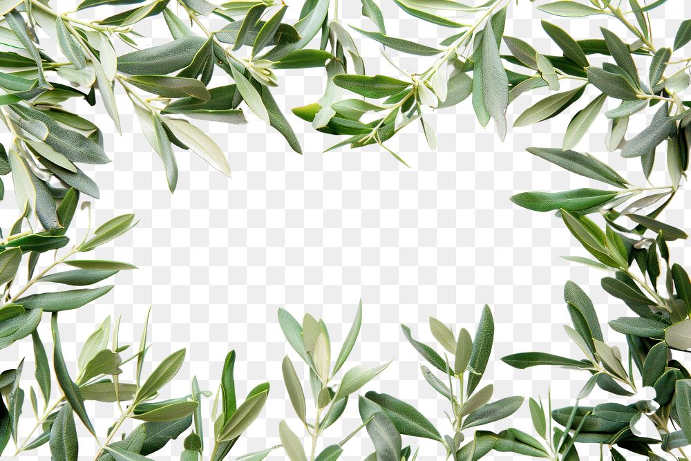 PNG Green leaves frame background