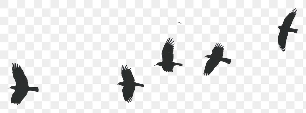 Flying birds silhouette transparent PNG