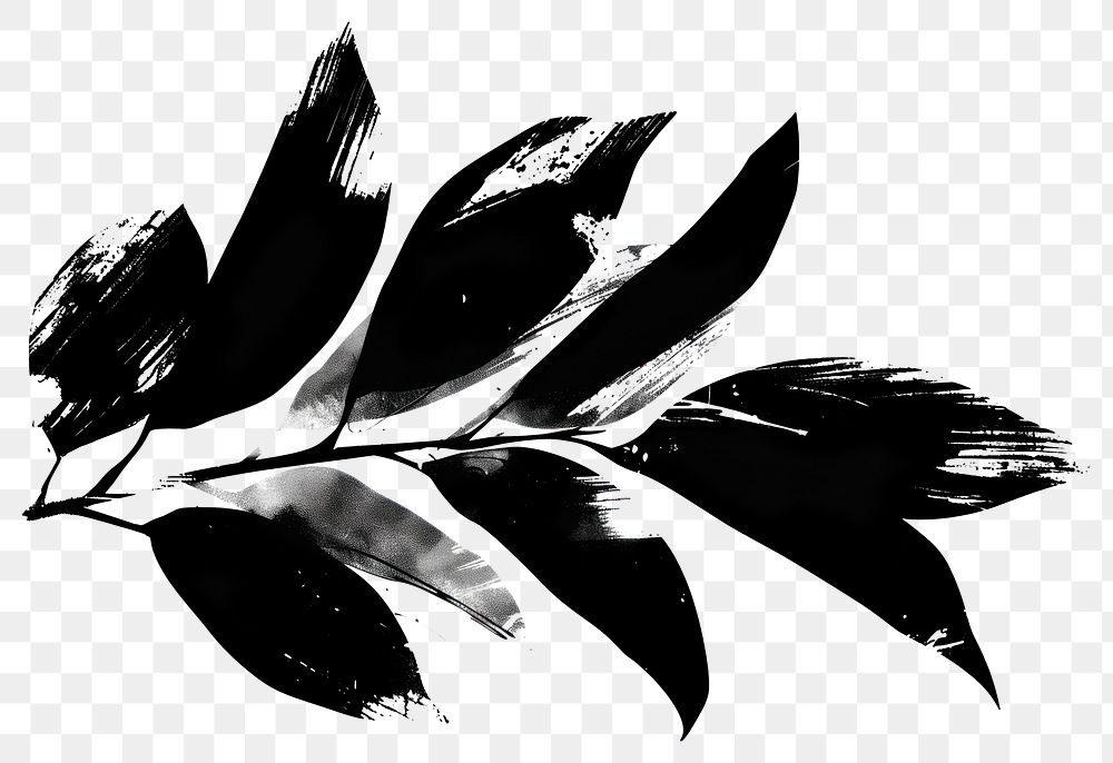 PNG black and white vectors silhouette of *leaf shape* brush stroke border, simple clean and clear, isolated on white…