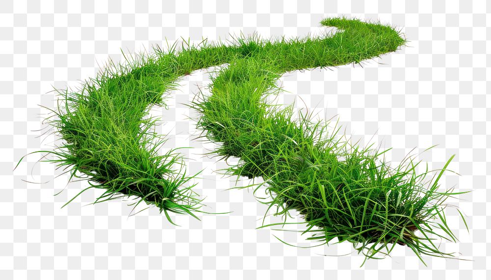 PNG  Winding grass path isolated white