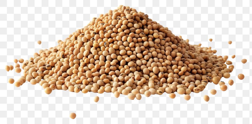 PNG Organic soybeans on white background