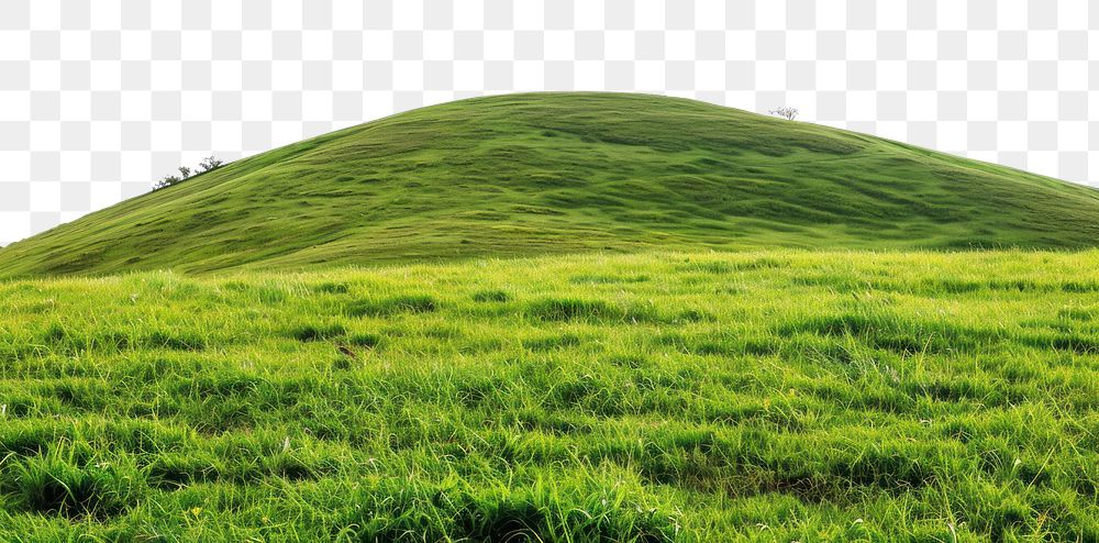 PNG  Lush green grassy hill landscape