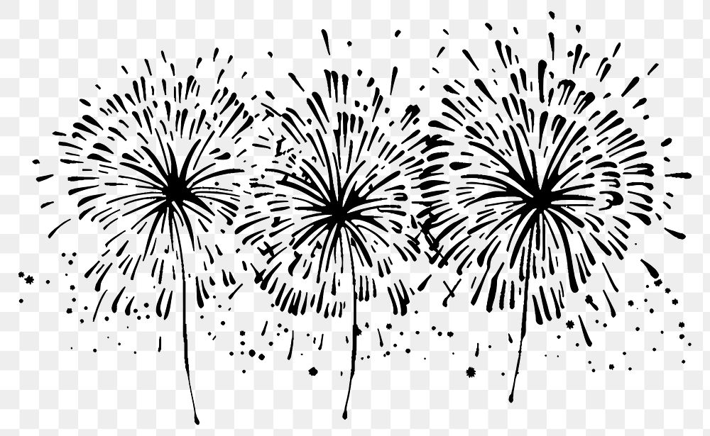 PNG Drawing of fireworks art illustrated dandelion.