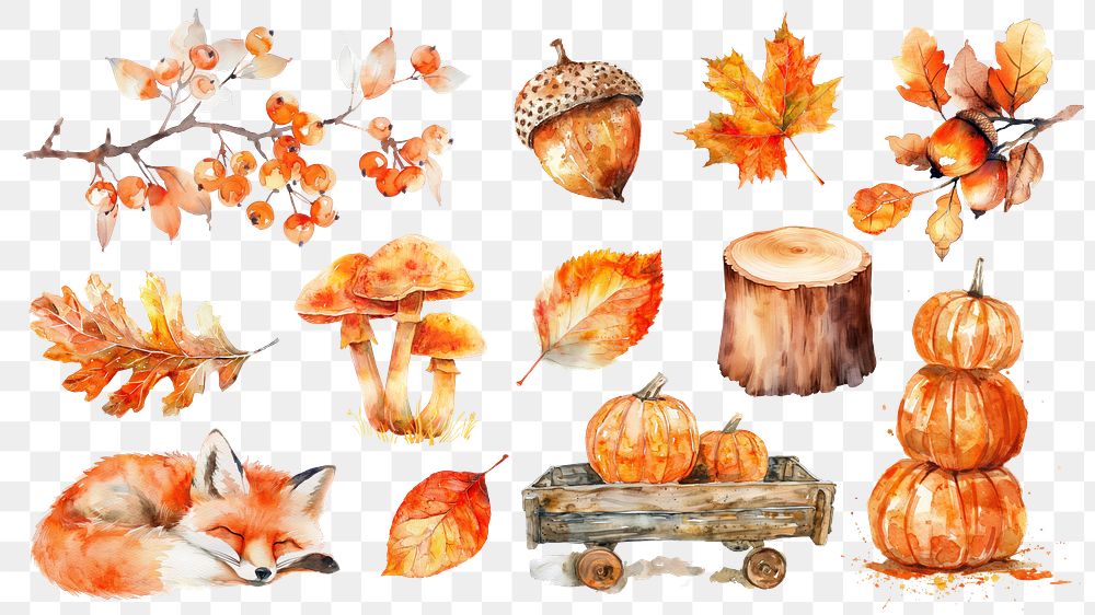 PNG watercolor autumn  design element set, transparent background