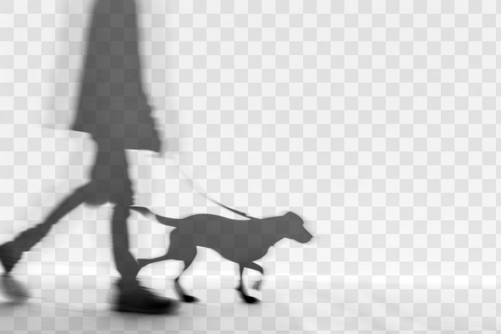 PNG  Blurred silhouette walking dog