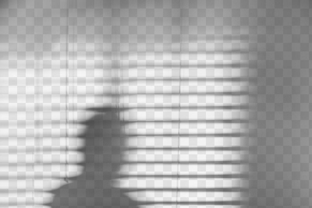 PNG  Silhouette through window blinds shadow