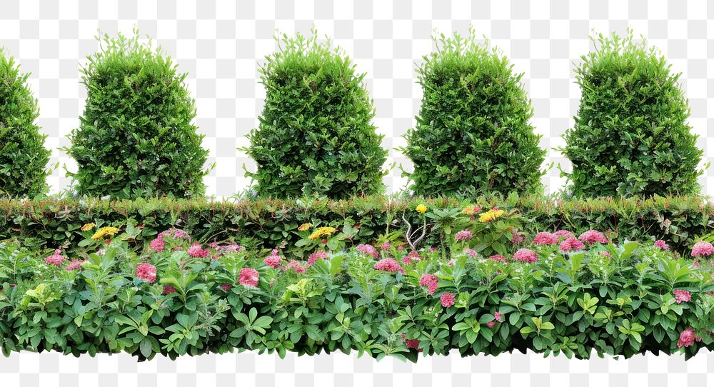 Lush green hedge with flowers