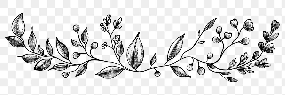 PNG Elegant botanical line art