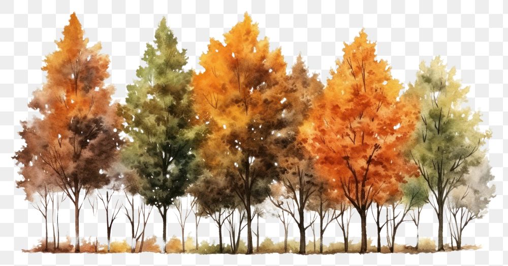 PNG Autumn watercolor trees illustration