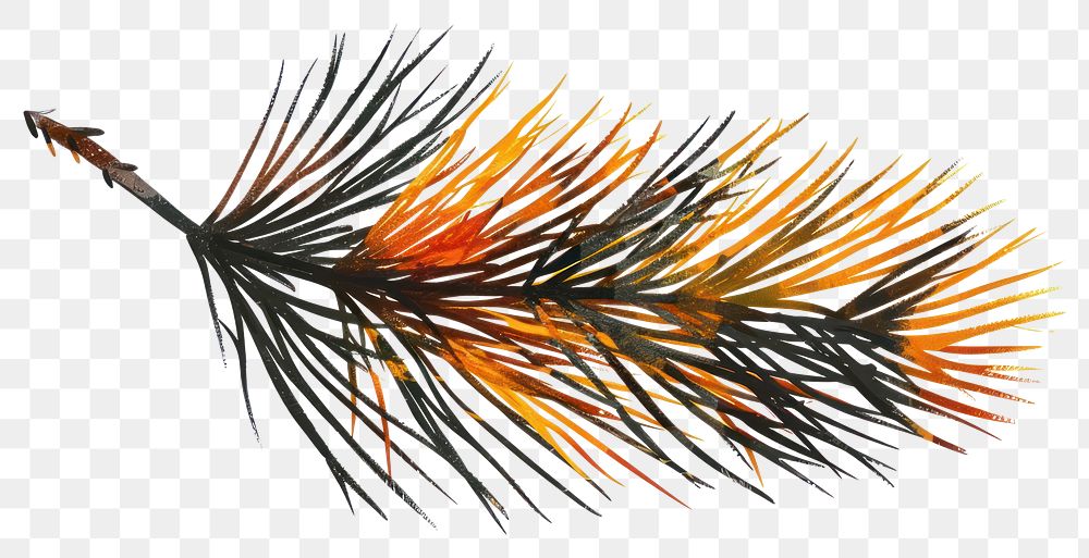 PNG Autumn leave tree conifer animal.