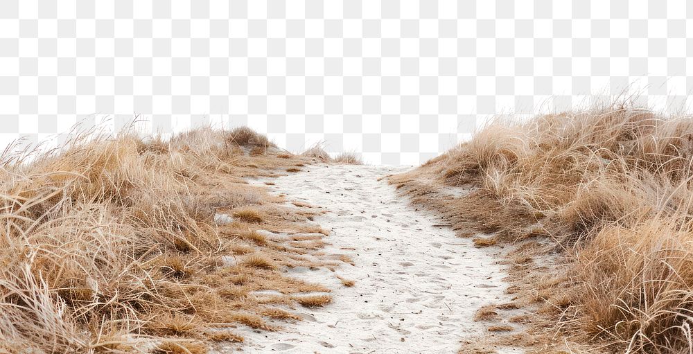 PNG Sandy path border, transparent background