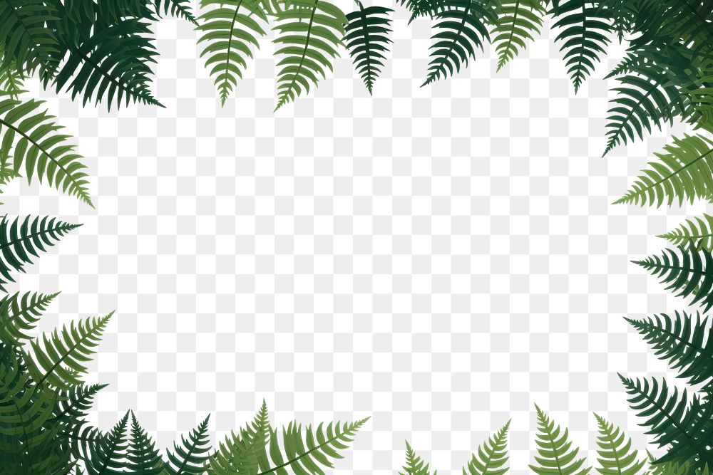 Fern solid shape frame green backgrounds outdoors.