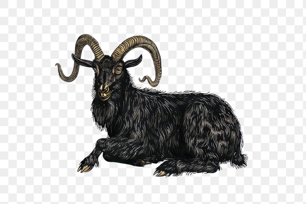 PNG Majestic black goat illustration