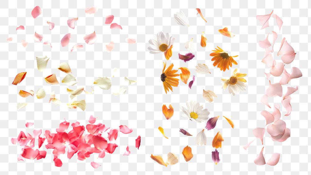 PNG falling flower petal element set, transparent background