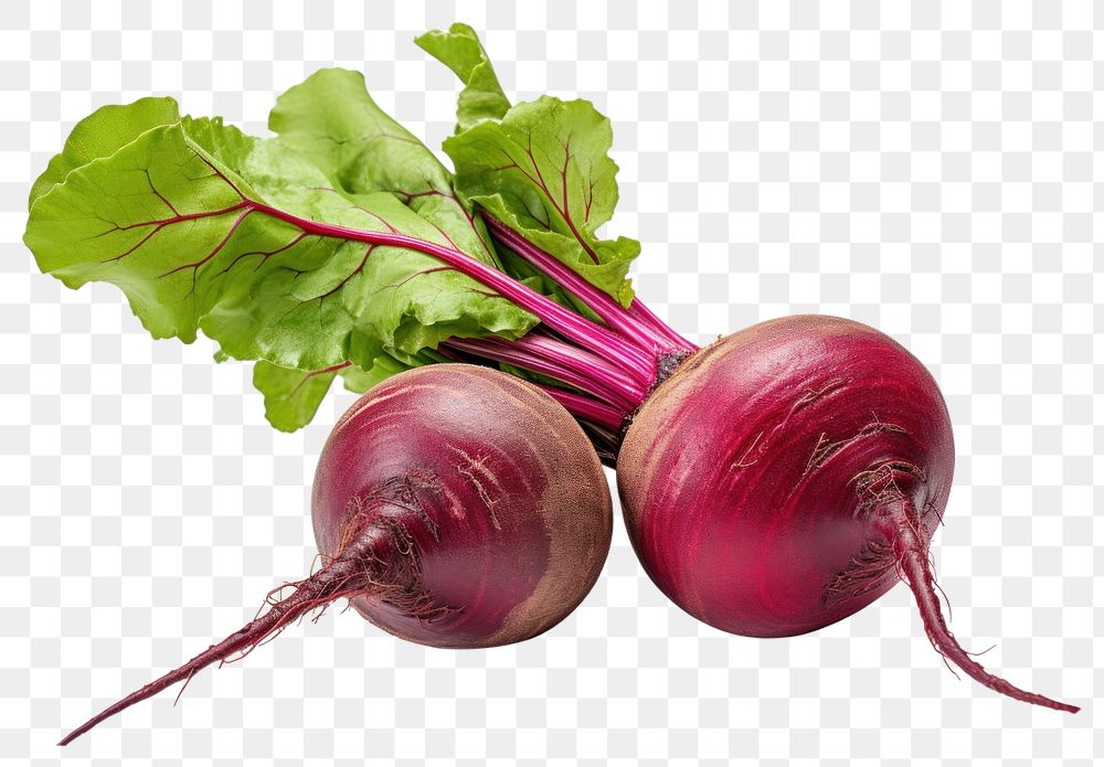 PNG Beetroot vegetable plant food. 