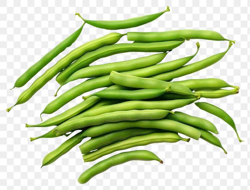 PNG Raw green beans vegetable plant food. 